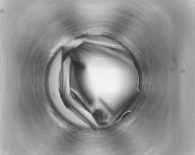 X0000088660530200706221637