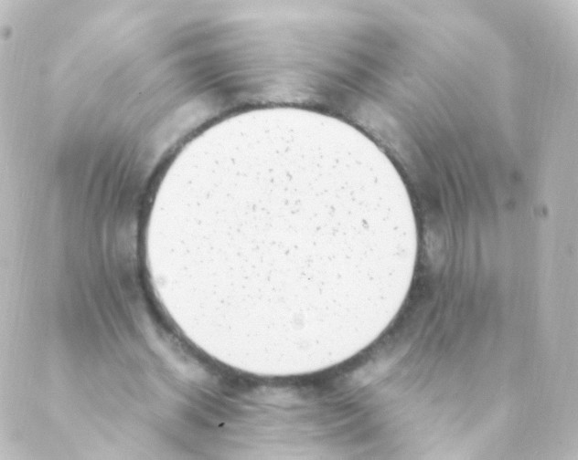 X0000088660534200706221638