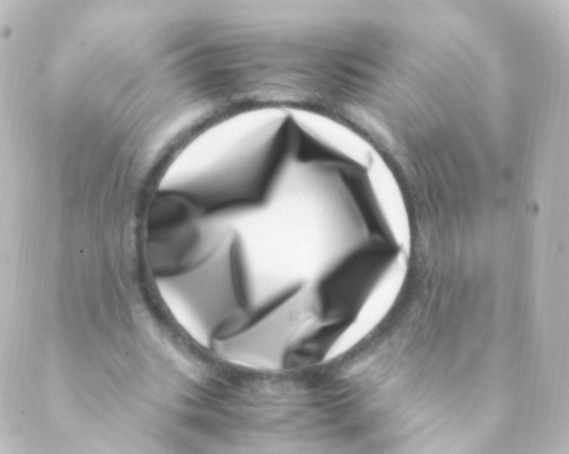 X0000088660535200706221638