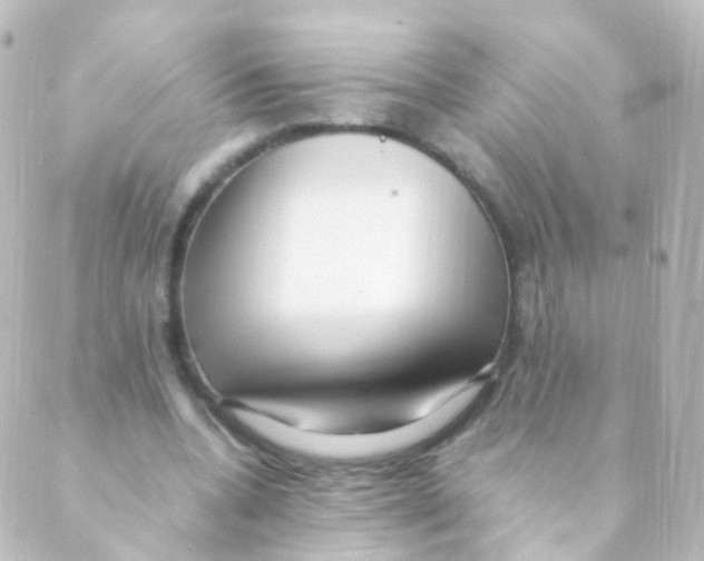 X0000088660536200706221638