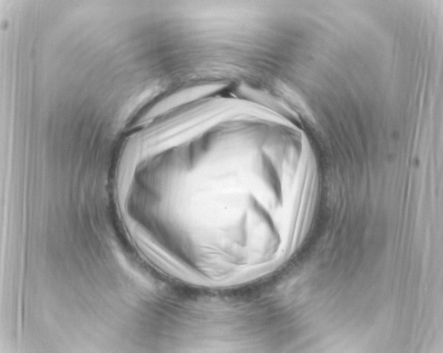 X0000088660538200706221638