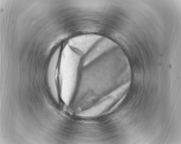 X0000088660539200706221638