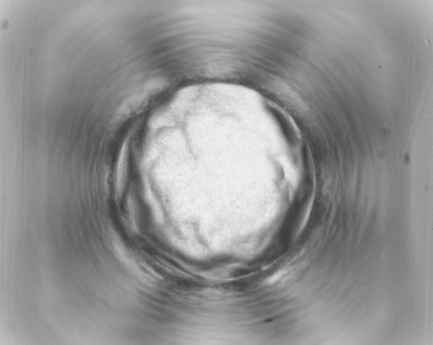 X0000088660542200706221638