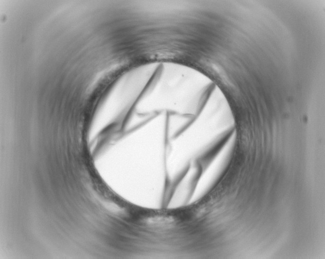 X0000088660543200706221638