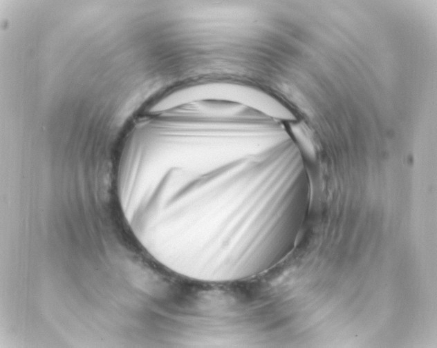 X0000088660544200706221638