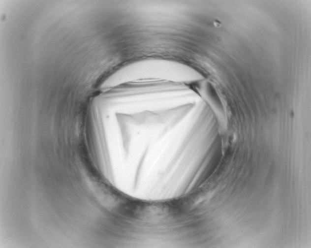 X0000088660546200706221638