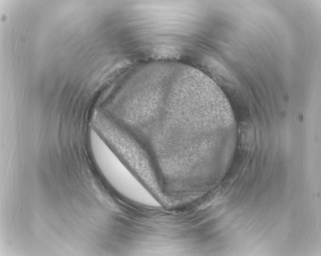 X0000088660550200706221638