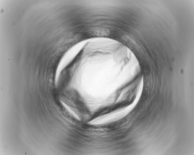 X0000088660553200706221638