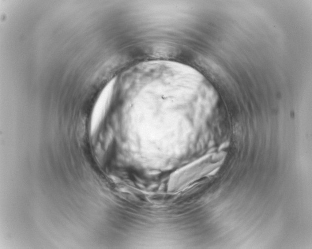 X0000088660554200706221638