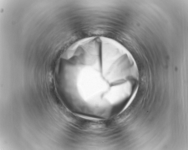 X0000088660555200706221638