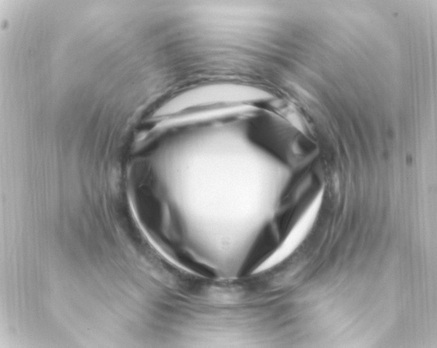 X0000088660556200706221638