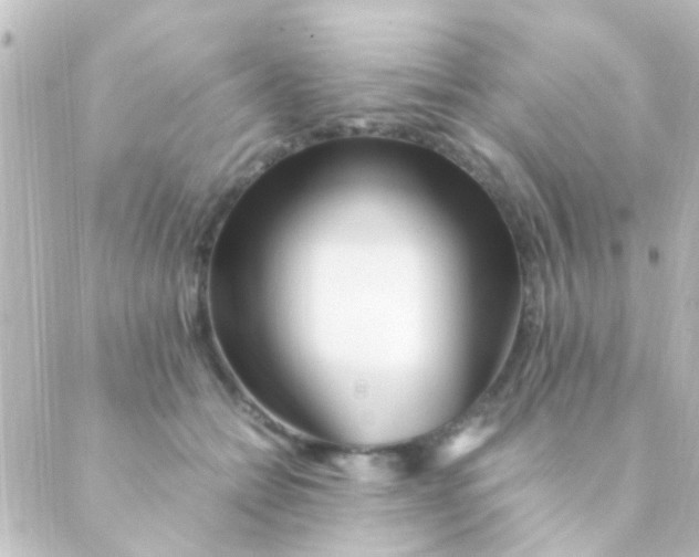 X0000088660558200706221638