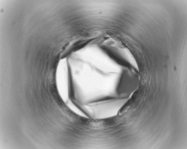 X0000088660560200706221638