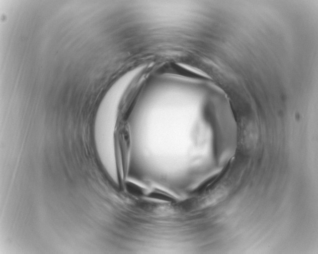 X0000088660562200706221638