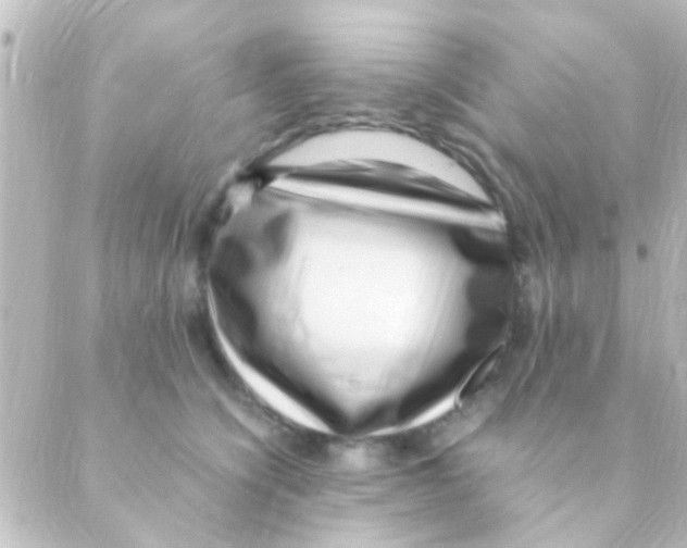 X0000088660564200706221638