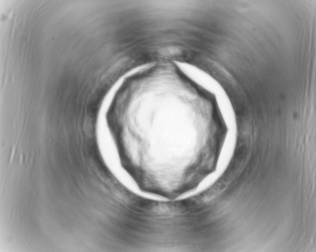 X0000088660565200706221638