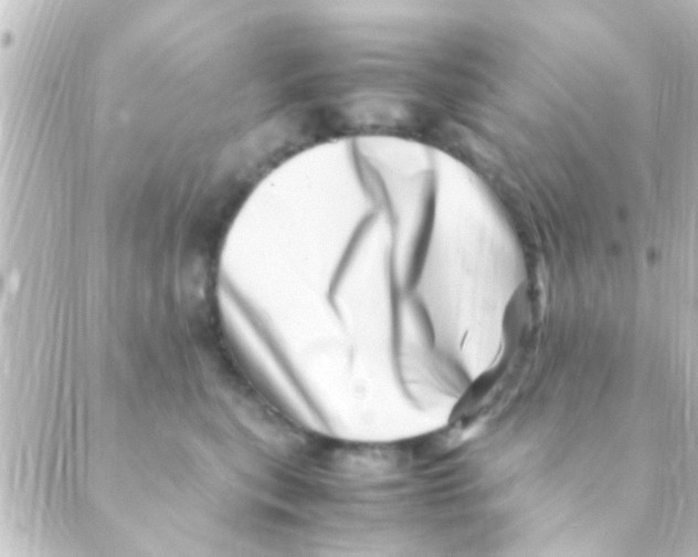 X0000088660567200706221638