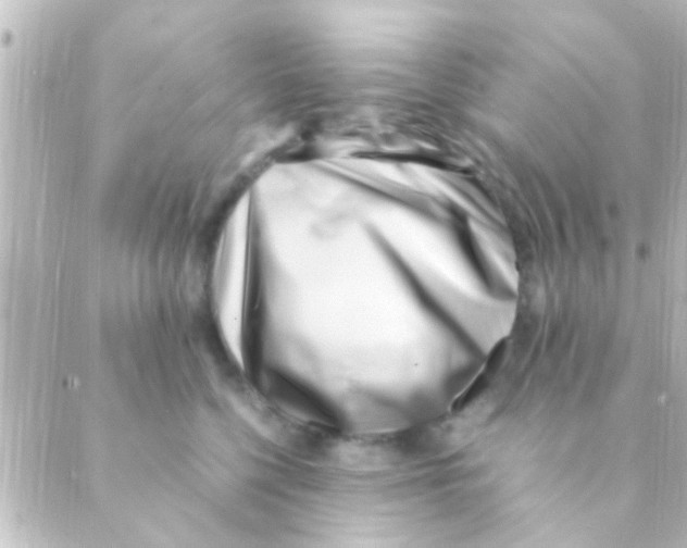 X0000088660568200706221638