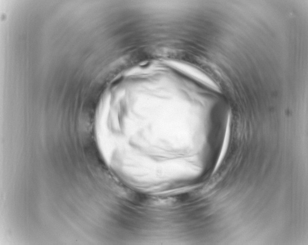 X0000088660569200706221638