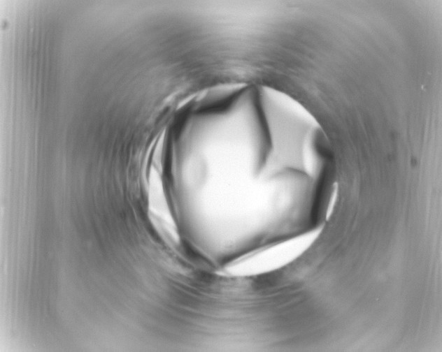X0000088660576200706221638