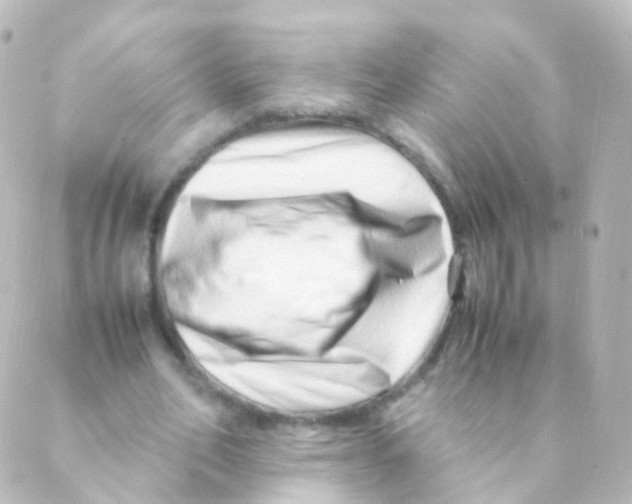 X0000088660582200706221637