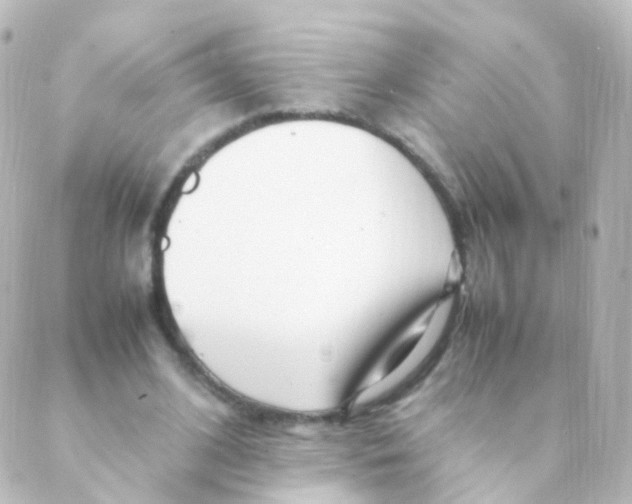 X0000088660584200706221637