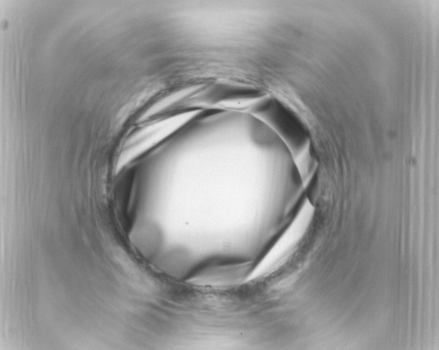 X0000088660585200706221637