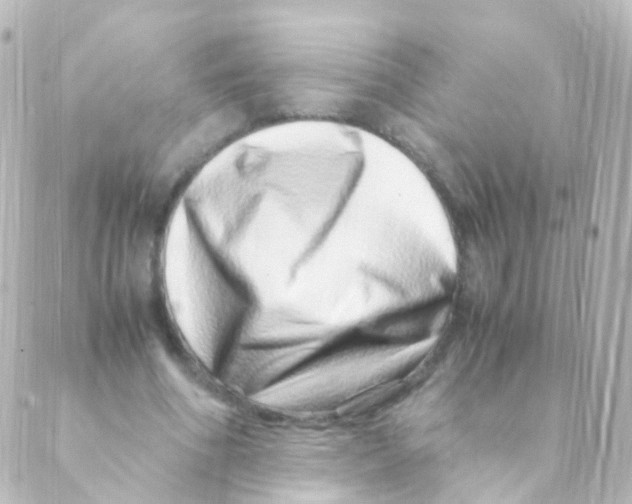 X0000088660586200706221637