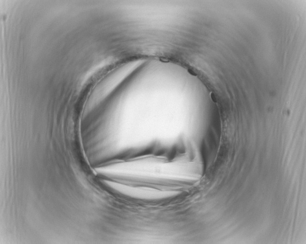 X0000088660587200706221637
