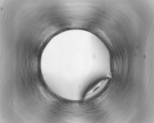 X0000088660588200706221637