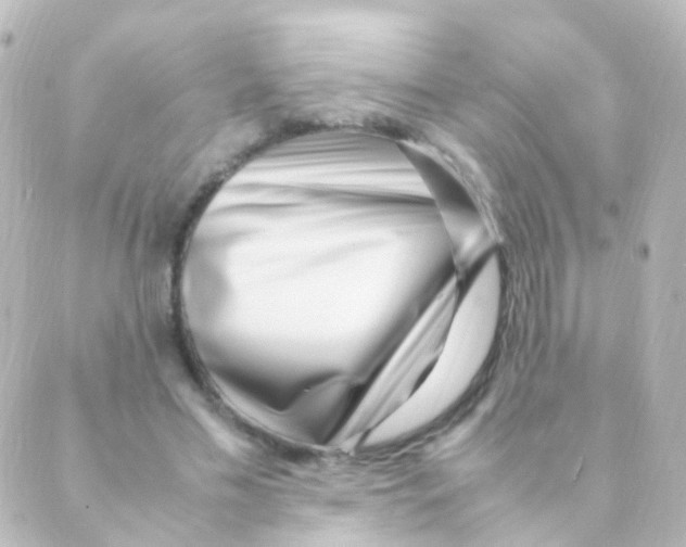 X0000088660589200706221637