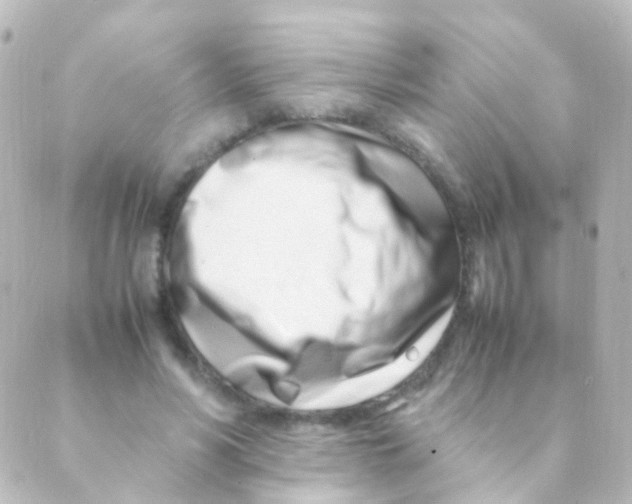 X0000088660590200706221637