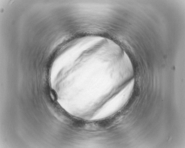 X0000088660591200706221637