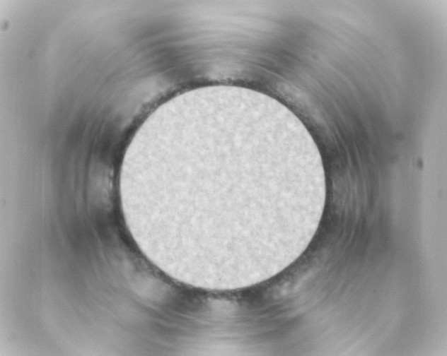 X0000088660592200706221637