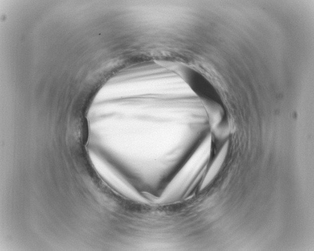 X0000088660593200706221637