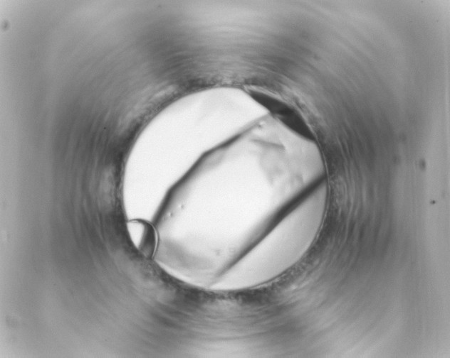 X0000088660594200706221637