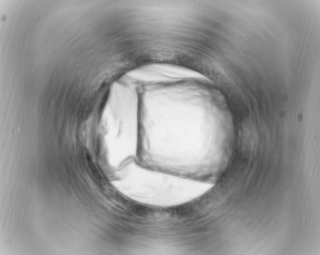 X0000088660598200706221637