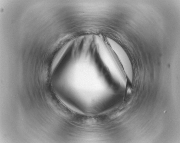 X0000088660600200706221637