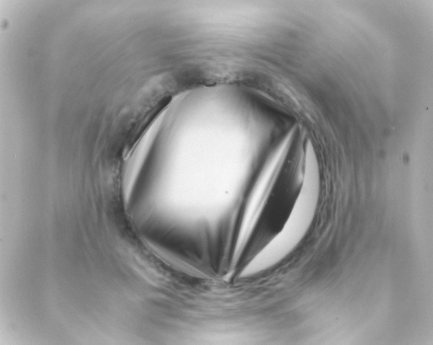 X0000088660601200706221637