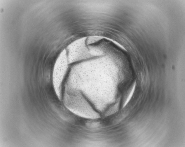 X0000088660602200706221637