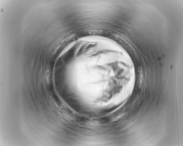 X0000088660604200706221637