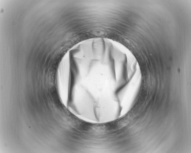 X0000088660606200706221637