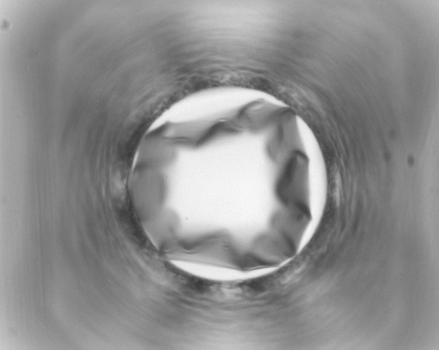 X0000088660607200706221637