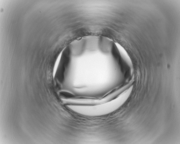 X0000088660609200706221637