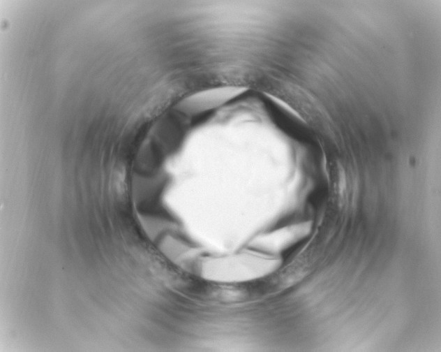 X0000088660610200706221637