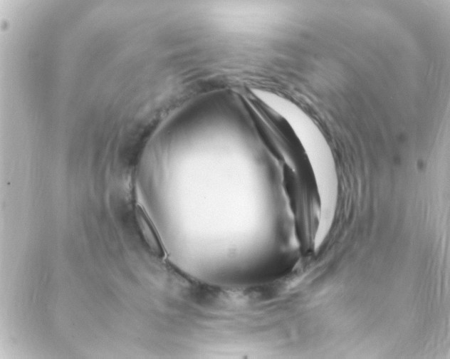 X0000088660613200706221637