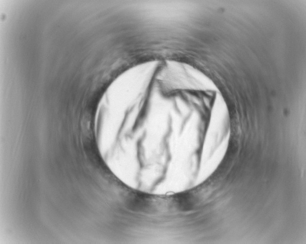 X0000088660615200706221637