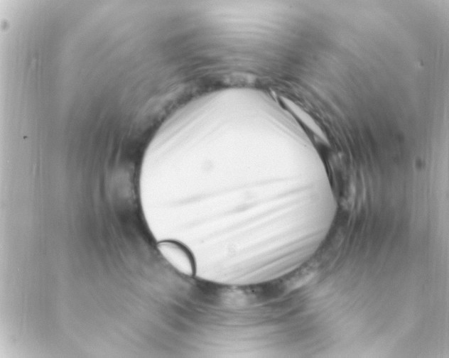 X0000088660616200706221637