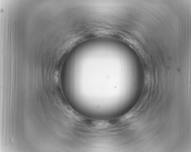 X0000088660621200706221637