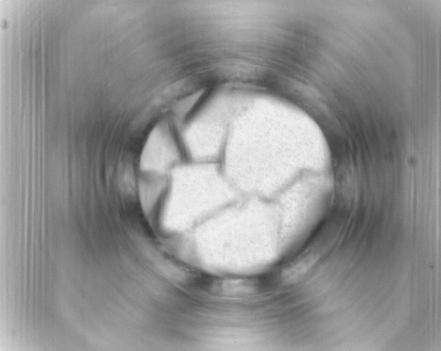 X0000088660622200706221637